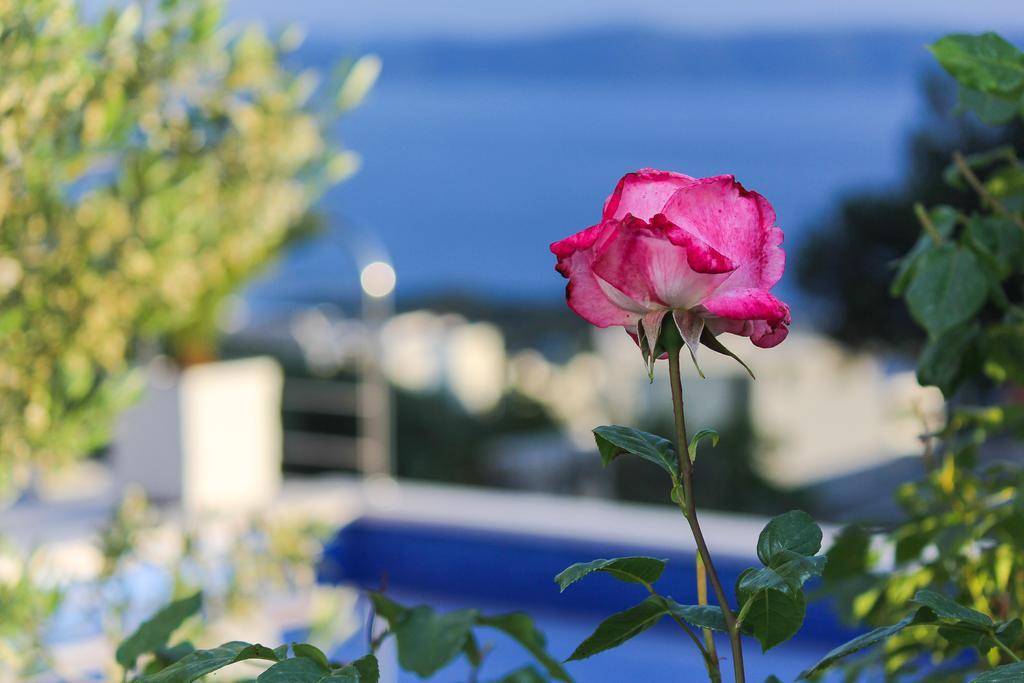 Villa Levanda Макарська Екстер'єр фото